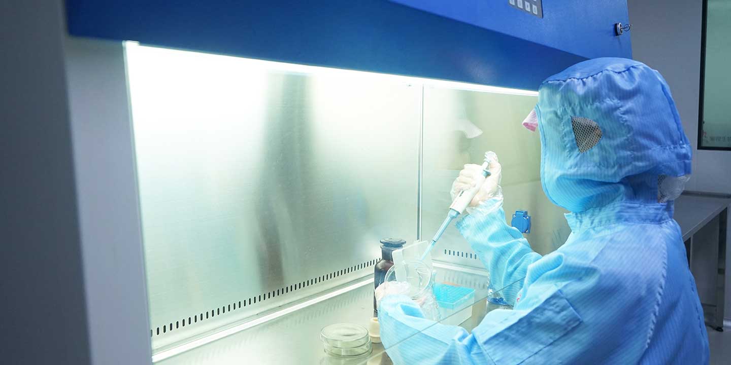 凯发k8娱乐登录